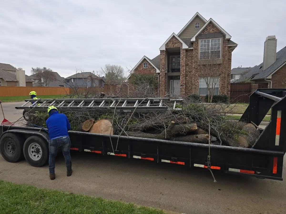 Expert Lot Clearing with proper safety equipment in Ridgeview